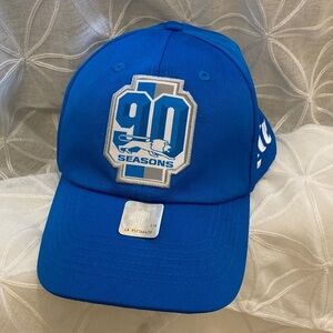 Detroit Lions Hat